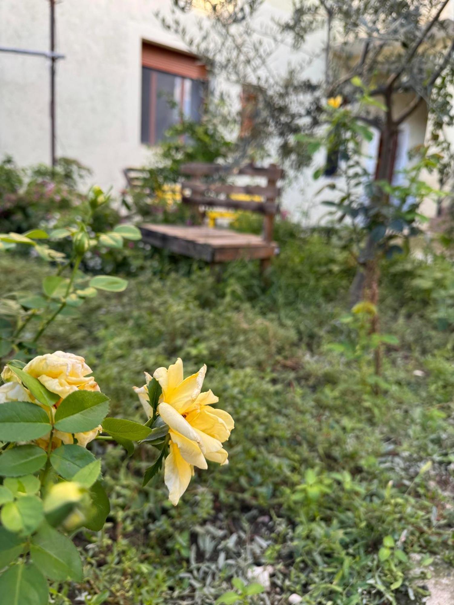 Ardjon House Hostel Berat Ngoại thất bức ảnh